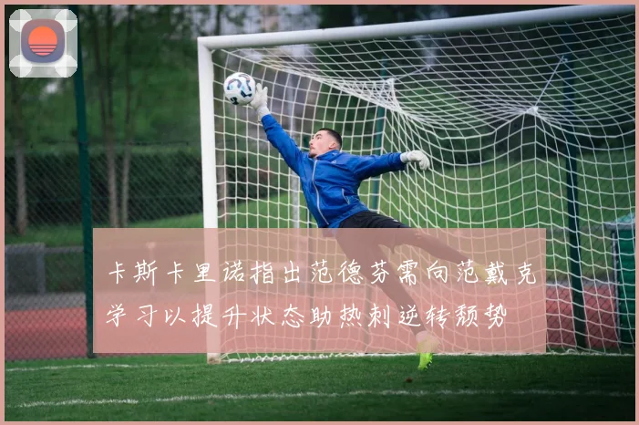 卡斯卡里诺指出范德芬需向范戴克学习以提升状态助热刺逆转颓势