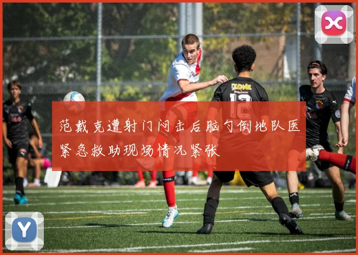 范戴克遭射门闷击后脑勺倒地队医紧急救助现场情况紧张